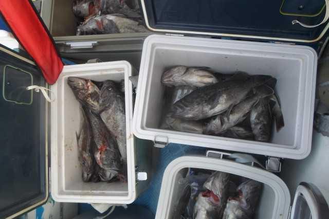 21일 조황 사진 30