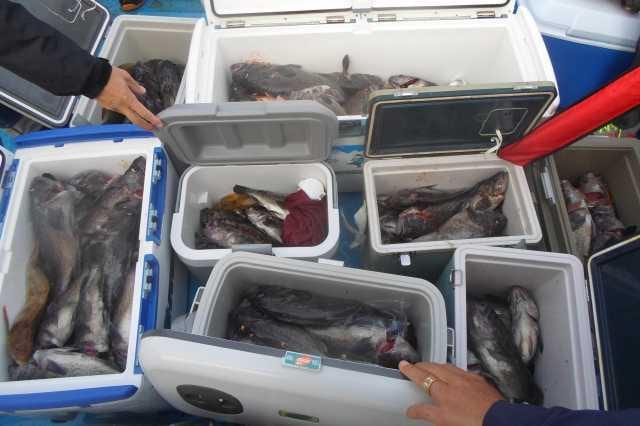 21일 조황 사진 31