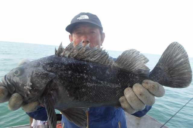 23일 조황 사진 1