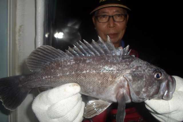 23일 조황 사진 5