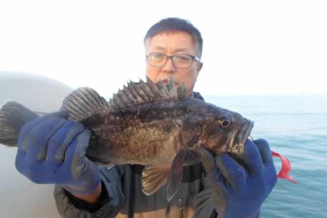 23일 조황 사진 10