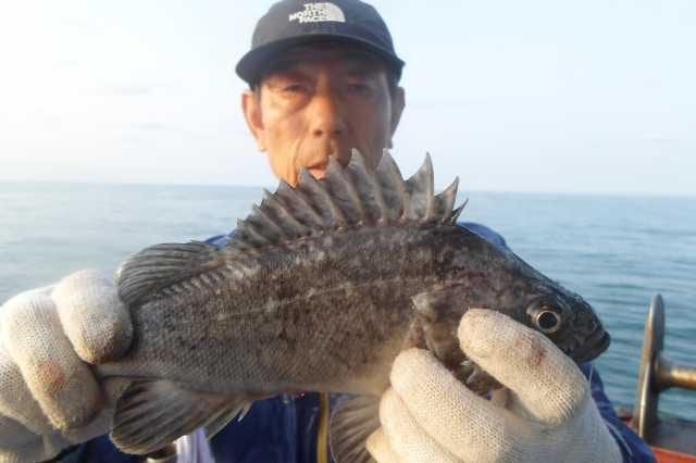 23일 조황 사진 11