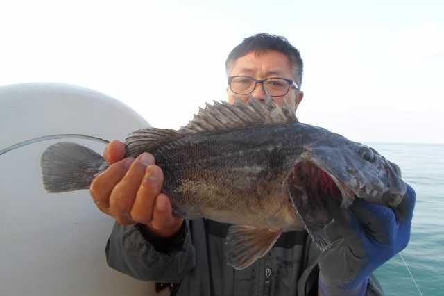 23일 조황 사진 14