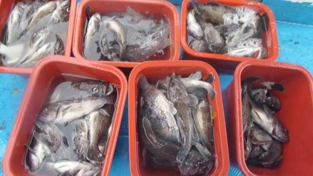 24일 단체조황 사진 1