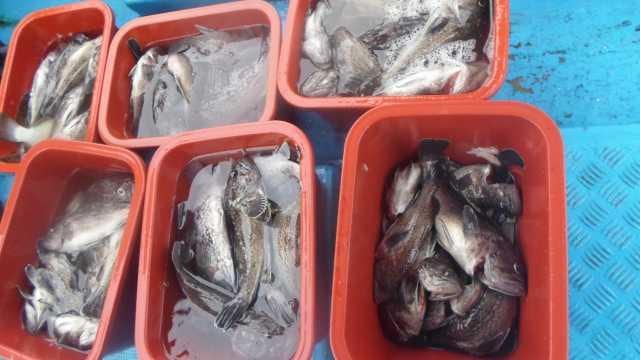 24일 단체조황 사진 3