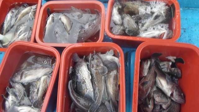 24일 단체조황 사진 4