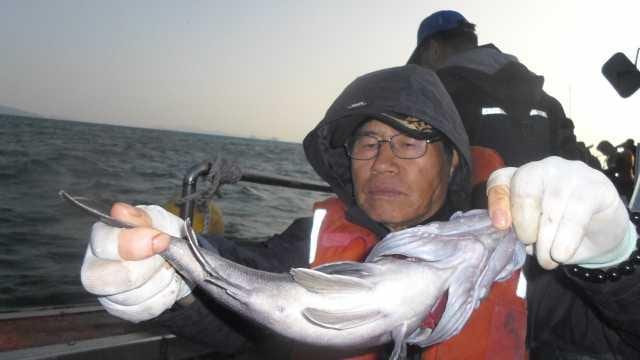 25일 조황 사진 6