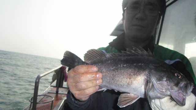 25일 조황 사진 16
