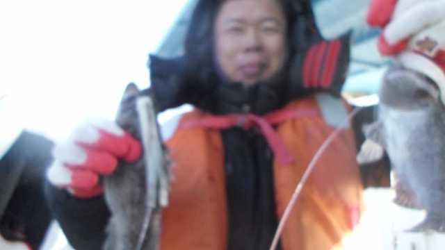31일 조황 사진 2