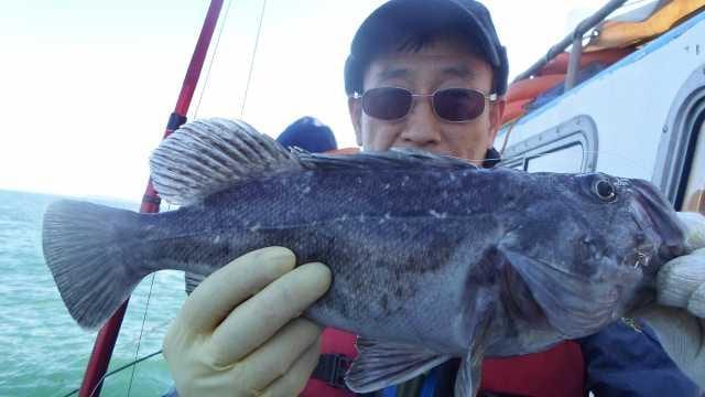 31일 조황 사진 4