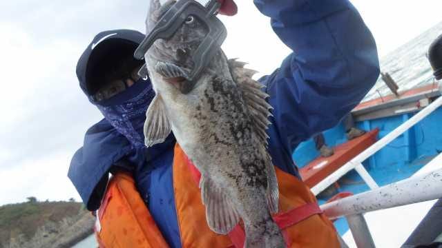 31일 조황 사진 6