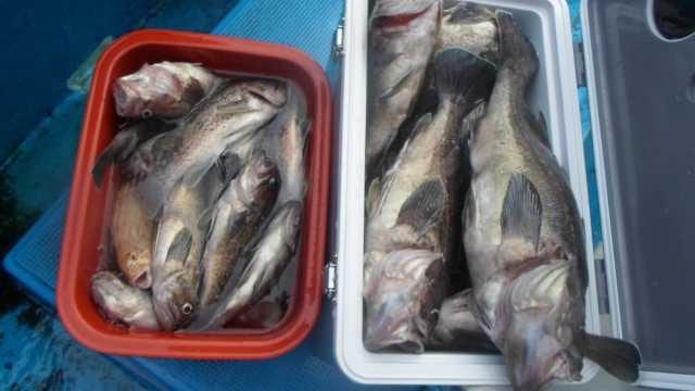11월5일 전원 대박 사진 22