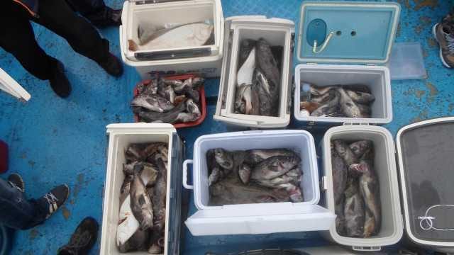 6일 조황 사진 2