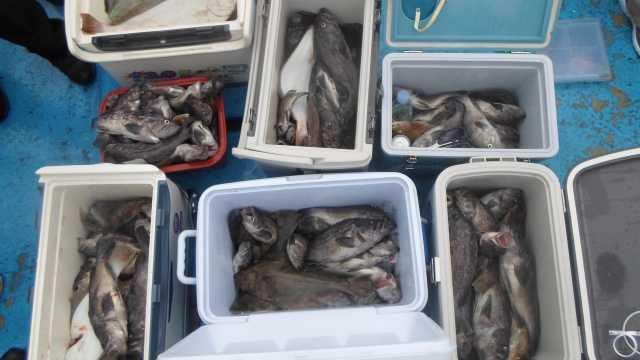 6일 조황 사진 3