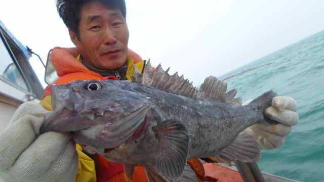 6일 조황 사진 5