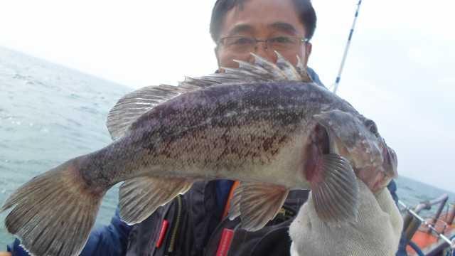 6일 조황 사진 9