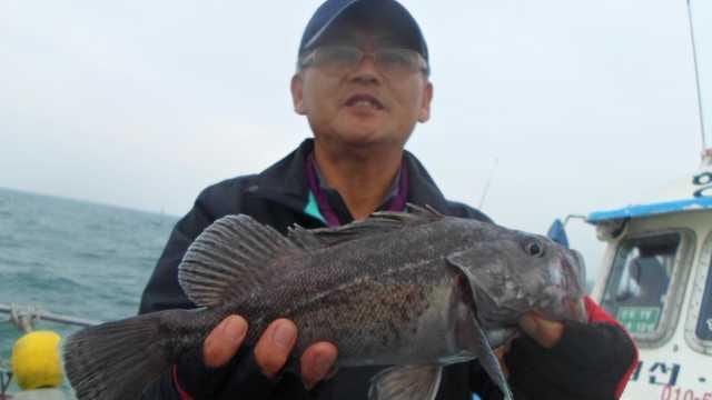 6일 조황 사진 10