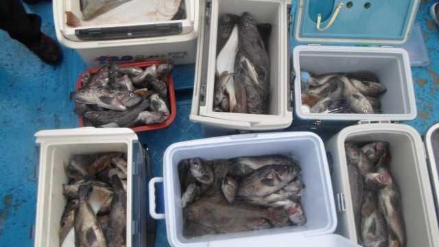 6일 조황 사진 16