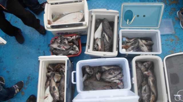 6일 조황 사진 17