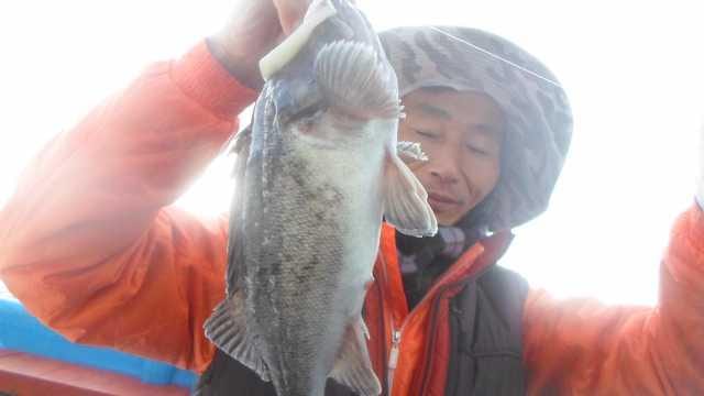 15일 조황 사진 10