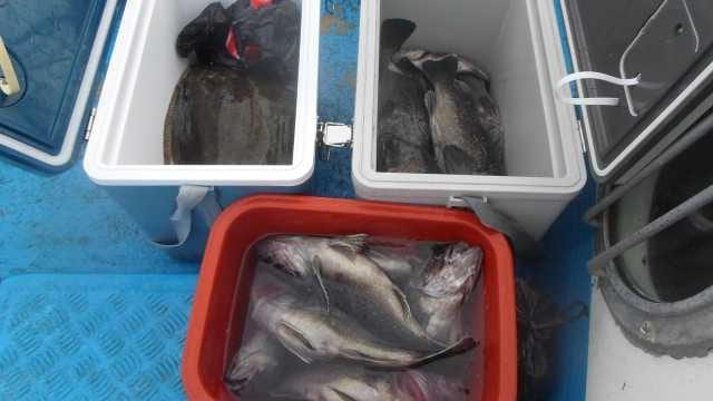 15일 조황 사진 20