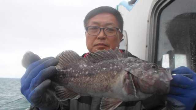 19일 조황 사진 3