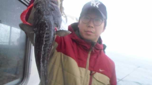 19일 조황 사진 4