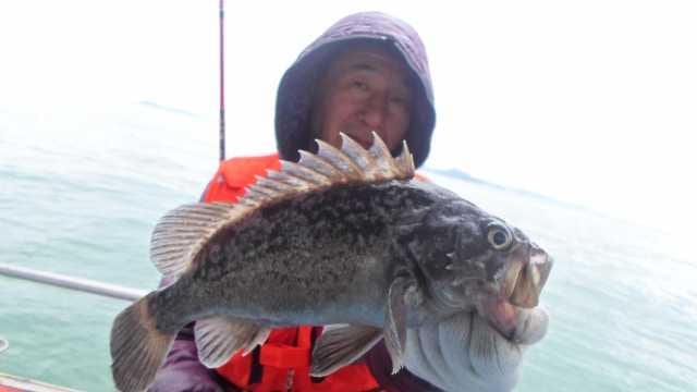 19일 조황 사진 14