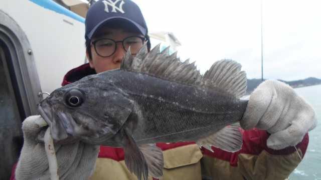 19일 조황 사진 17