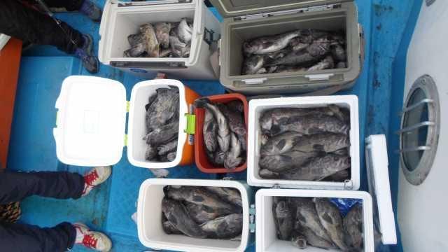 20일 7분조황 굿 사진 3