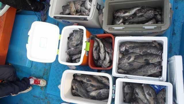 20일 7분조황 굿 사진 2
