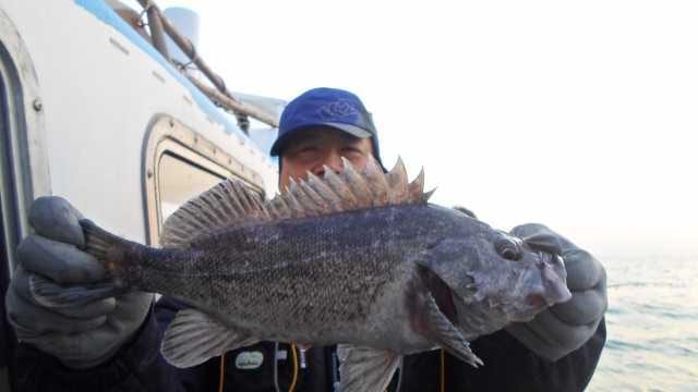 21일 단체 조황 사진 4