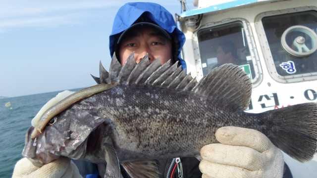 21일 단체 조황 사진 15