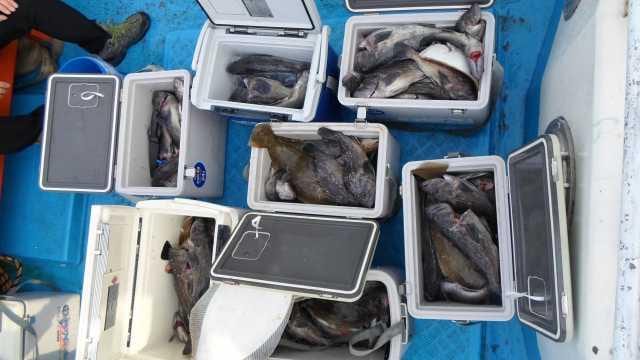 21일 단체 조황 사진 3