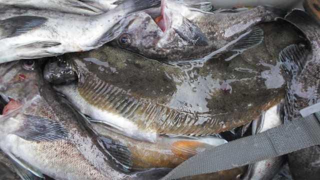 21일 단체 조황 사진 23