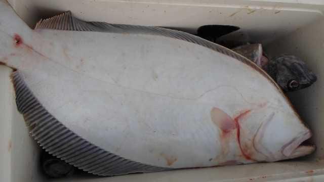 21일 단체 조황 사진 24