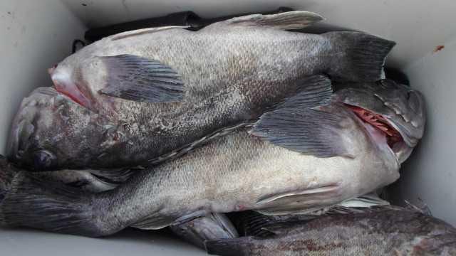 21일 단체 조황 사진 28