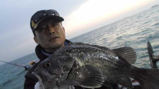 22일조황 사진 4