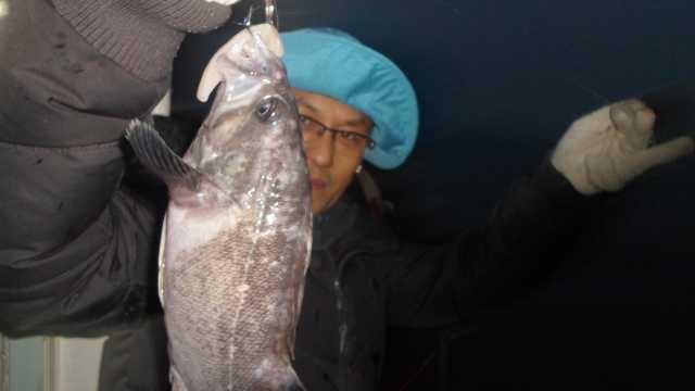 22일조황 사진 5
