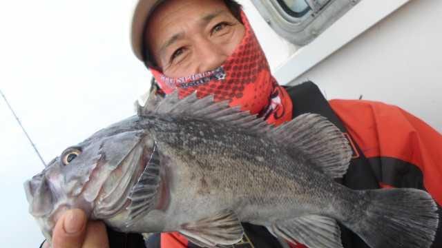 22일조황 사진 14