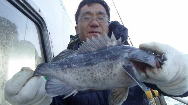 22일조황 사진 15