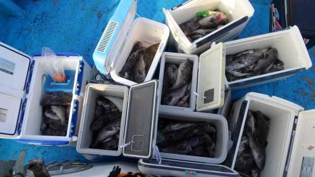 22일조황 사진 20
