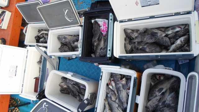 12월 6일 조황 사진 28
