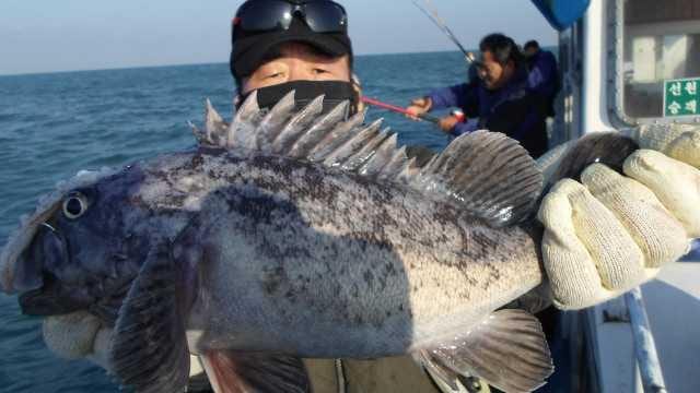 7일조황 1부 사진 8