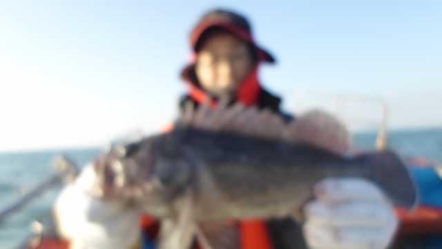 7일조황 1부 사진 16
