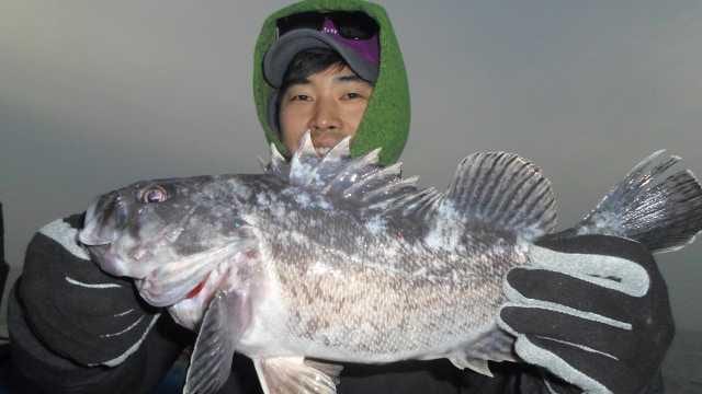 20일 조황 사진 1