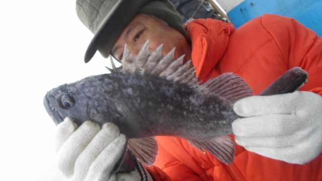 20일 조황 사진 2