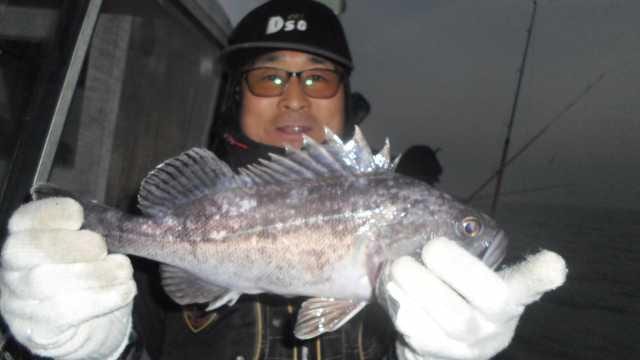 20일 조황 사진 3