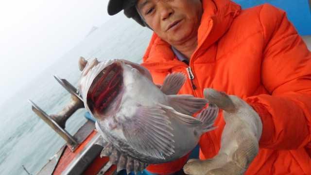 20일 조황 사진 6