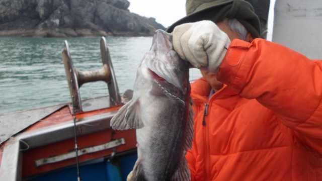 20일 조황 사진 11